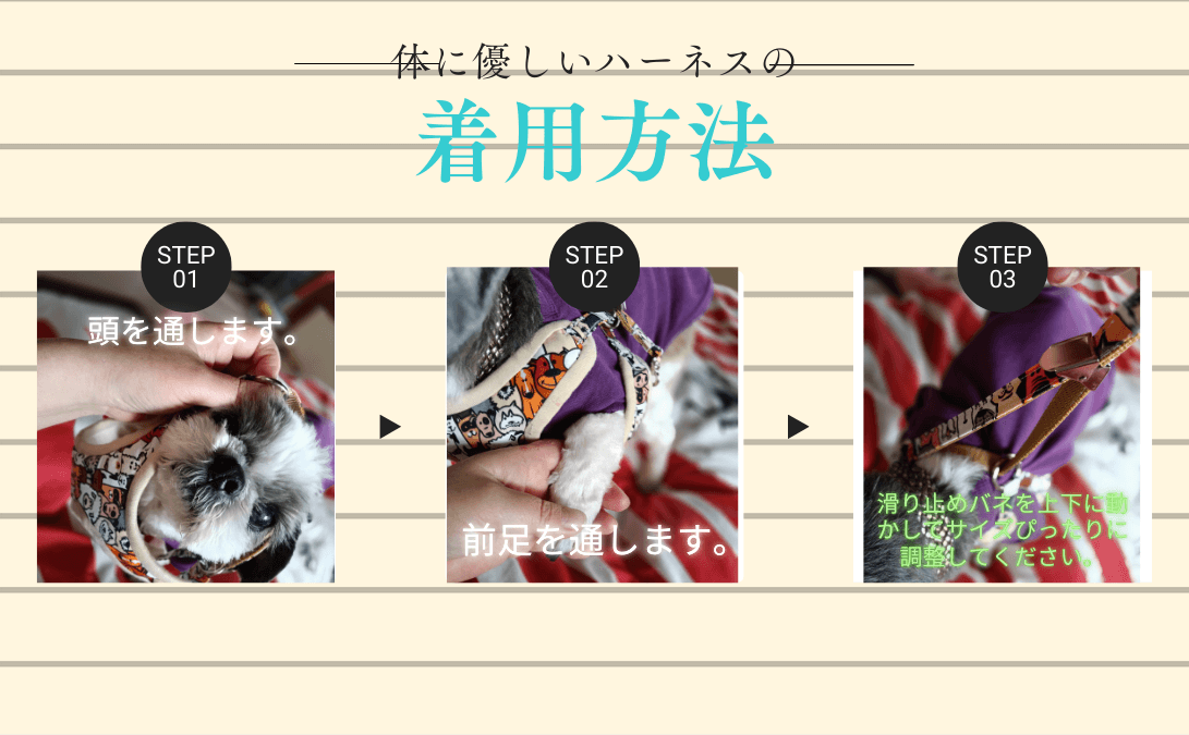 ハーネス&リード　セット マルチストライプ | 8枚目