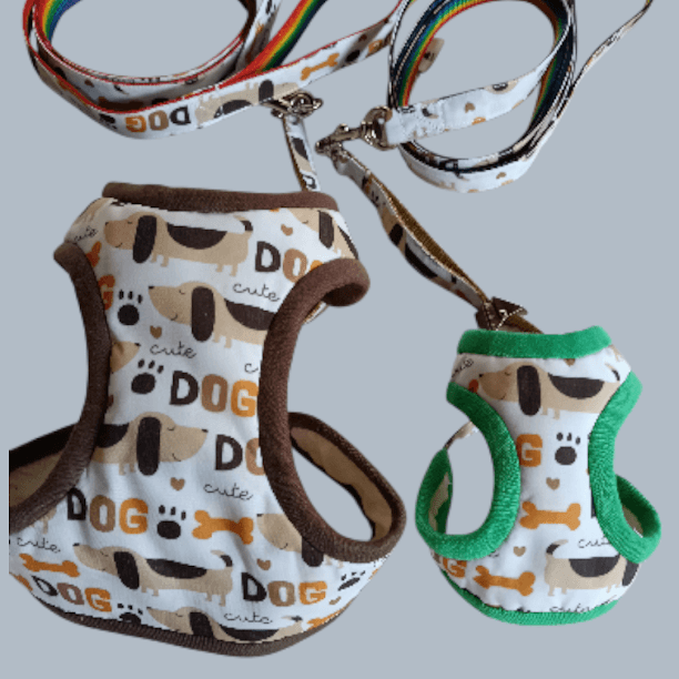 ハーネス＆リードセット　dachshund1枚目の画像