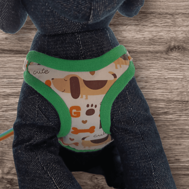 ハーネス dachshund1枚目の画像